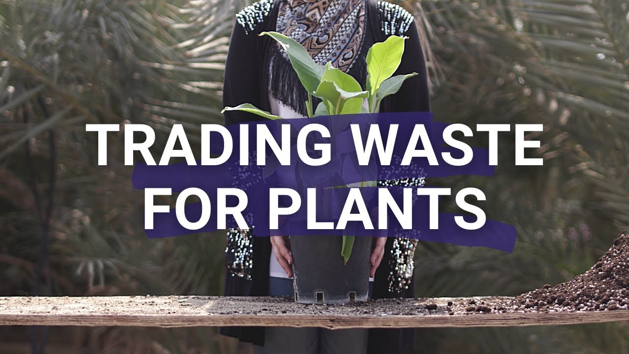 Plants in exchange for waste