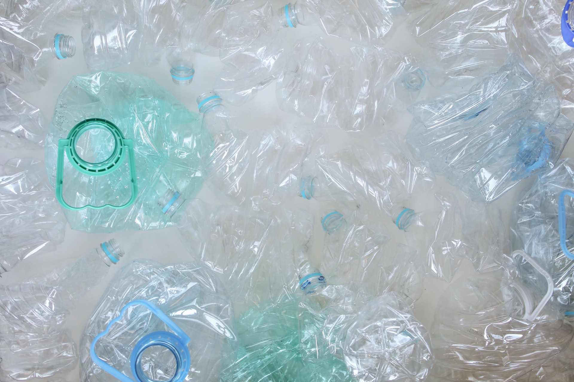Valorisation of plastic waste through micro-organisms
